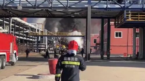 遼寧化工廠爆炸已致5死8失聯(lián) 涉事公司曾因偷逃稅被通報